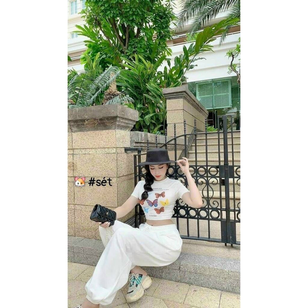 sét bộ thun borip croptop in hình