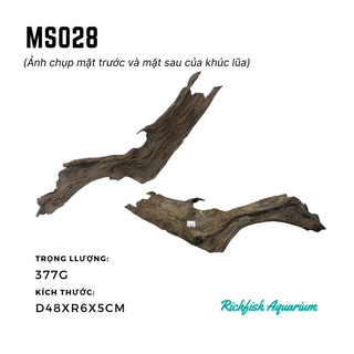 Gỗ lũa dùng setup layout bể cá cảnh thủy sinh từ 30-50cm (Ms027-Ms035)