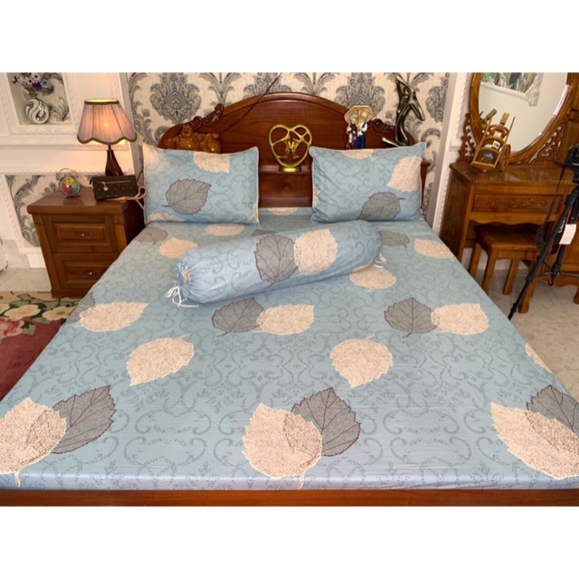 Drap cotton hàn quốc