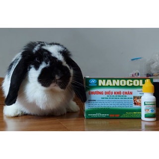 Cầu trùng(via coccid)&Ecoli(nanocoli) cho thỏ