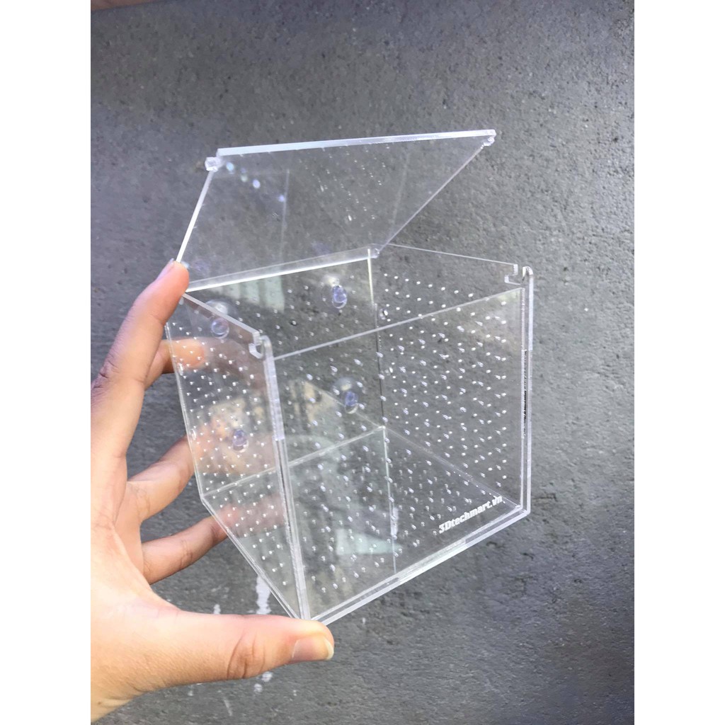 Box mica hít su/ lồng dưỡng tép cá (10x10x10cm)