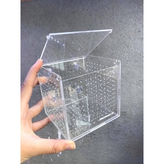 Box mica hít su/ lồng dưỡng tép cá