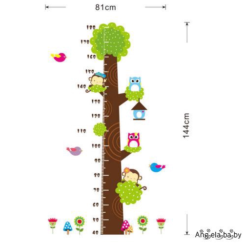 Nhãn dán trang trí tường in hình cây phối thước đo chiều cao