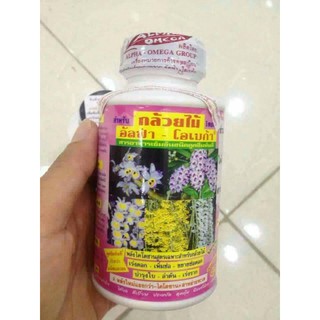 KíchHoa ThaiLan
