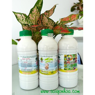 Phân Hữu Cơ Sinh Học WEHG 1L