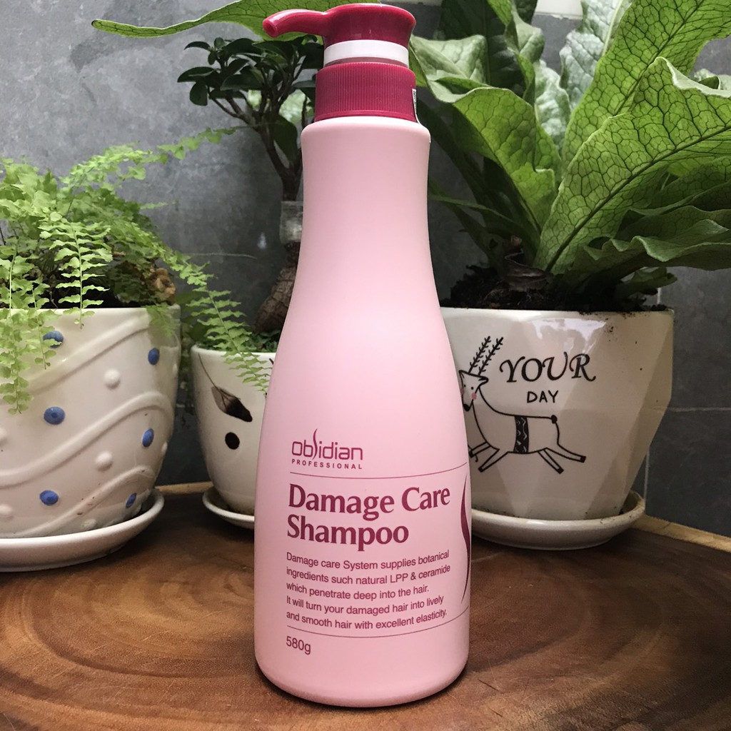 Dầu gội Obsidian tái tạo tóc Damage Care Shampoo 580ml ( New )