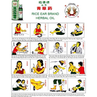 Dầu bông lúa Thái Lan MINYAK 24ml