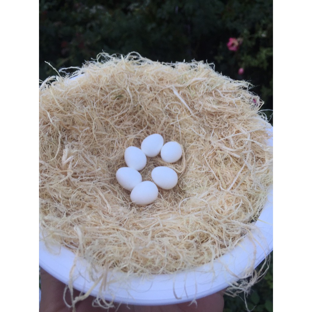 500g xảm tre bào lót tổ cho chim yến hót, finch, manh manh, 7 màu
