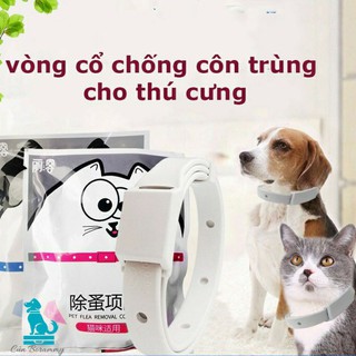 Vòng cổ chống ve rận bọ chét chó mèo