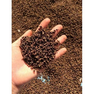 Mắc Kén Mắc Khén Loại ngon 100g