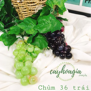 Quả Giả - Chùm Nho Siêu Dẻo 36 Trái