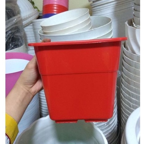 Chậu nhựa vuông V17 (17x15cm) loại dày, bóng_Chậu hoa nhựa việt nhật cứng bền
