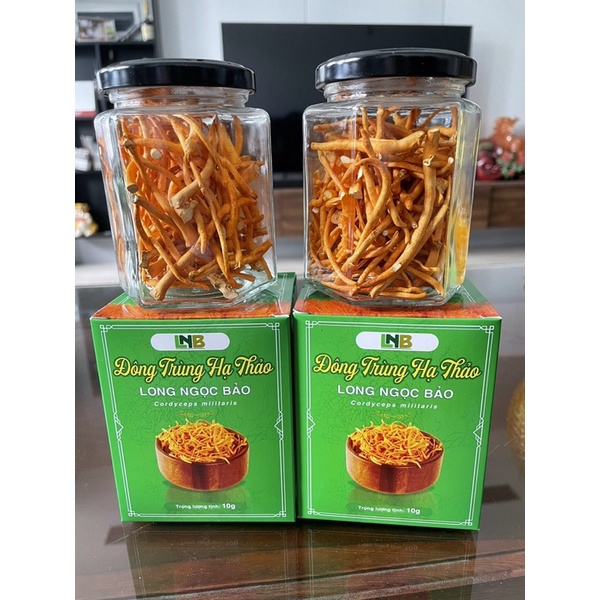 Đông Trùng Hạ Thảo