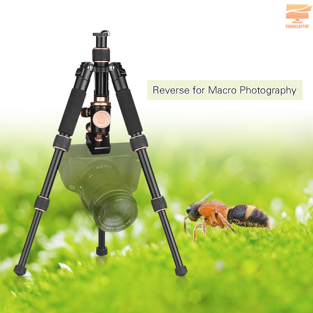 Andoer Giá Đỡ Ba Chân 53cm / 21in Mini Để Bàn Tháo Gỡ Nhanh Cho Máy Ảnh Dslr / Điện Thoại Di Động Dv