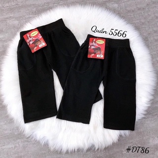 quần ngố legging