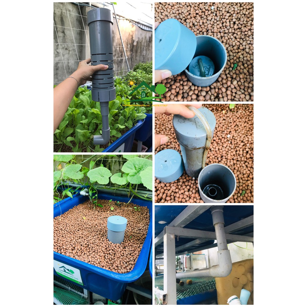 Bell - Siphon Aquaponics hê vận hành trồng rau nuôi cá vui lòng chọn size ở dưới