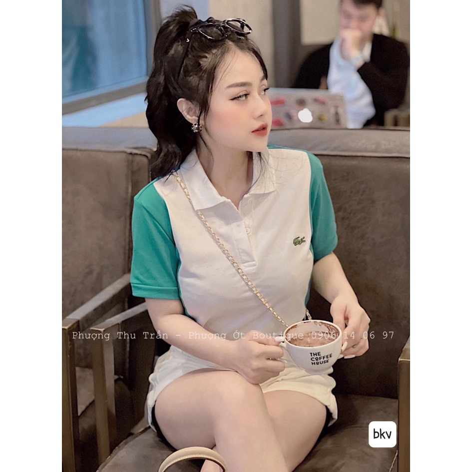 Áo thun Polo cổ bẻ phối màu trắng xanh - Chất đẹp