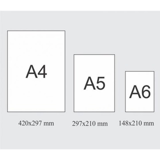 100 tờ Giấy A4 A5 A6