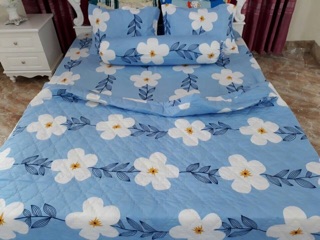 Sét chăn hè + 2 vỏ gối + ga chun