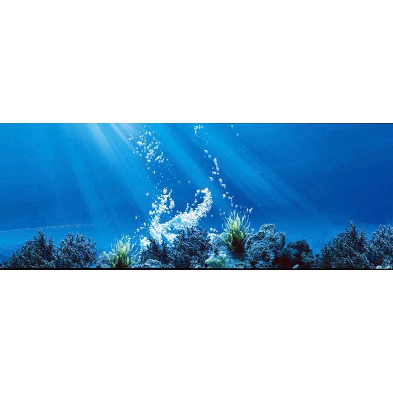 tranh dán bể cá 3D