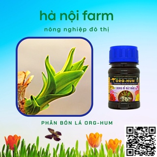 ORG HUM - Bung Rễ, Bật Mầm (chai 100ml)