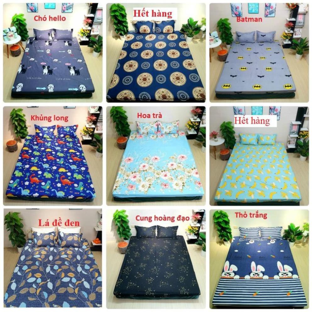 Free Ship Bộ drap ga gối poly cotton m6/m8 ( được chọn mẫu)