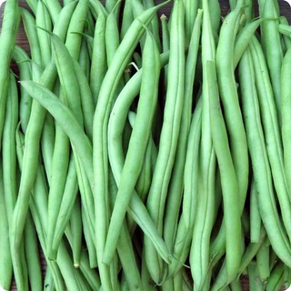 Gói 20 gạm hạt giống cây đậu Côve hạt xanh