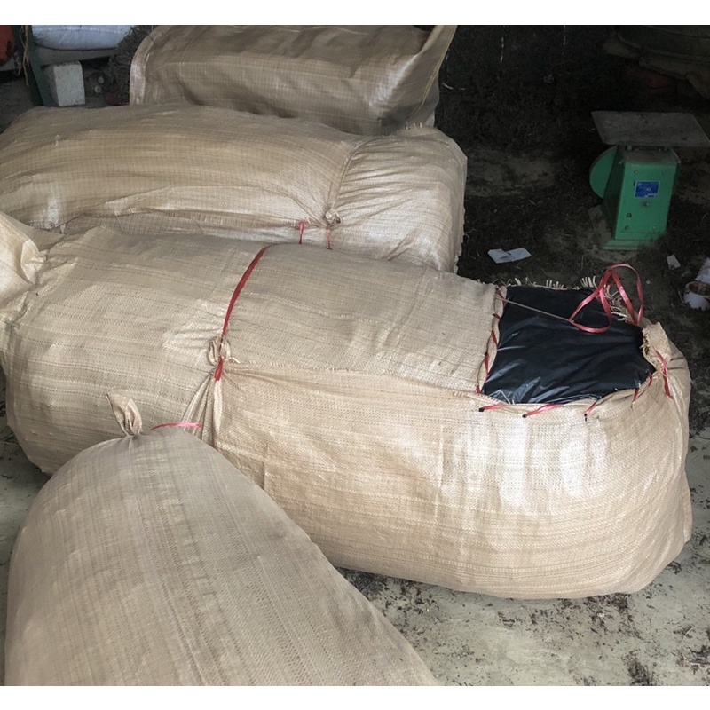 Cây sương sáo khô (bó 10kg)