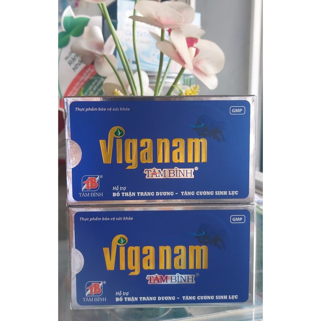 VIên bổ thận VIganam tâm bình