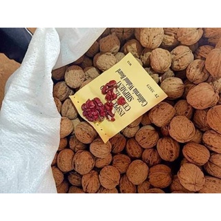 HẠT ÓC CHÓ NHẬP KHẨU - 500G