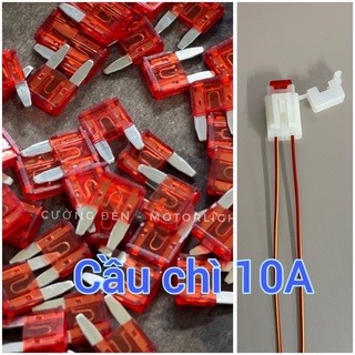 Cầu chì xe máy 10A