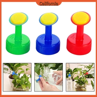Bình Tưới Cây Bằng Nhựa