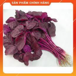 HẠT GIỐNG RAU DỀN ĐỎ CAO SẢN GÓI 50 GRAM