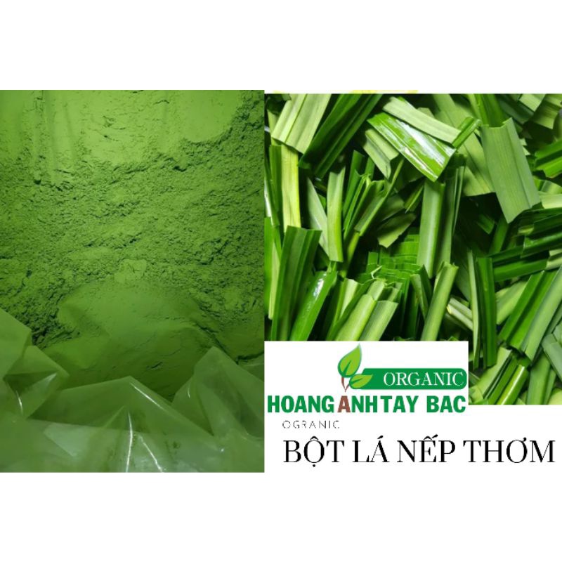 BỘT LÁ NẾP (100gr)