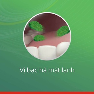 KEM ĐÁNH RĂNG COLGATE  BẠC HÀ 225GR (TẶNG KÈM BÀN CHẢI)