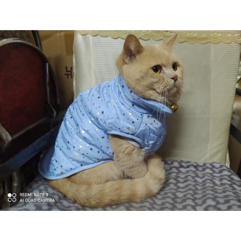 Áo phao lót nỉ cho thú cưng, áo mùa đông cho chó mèo