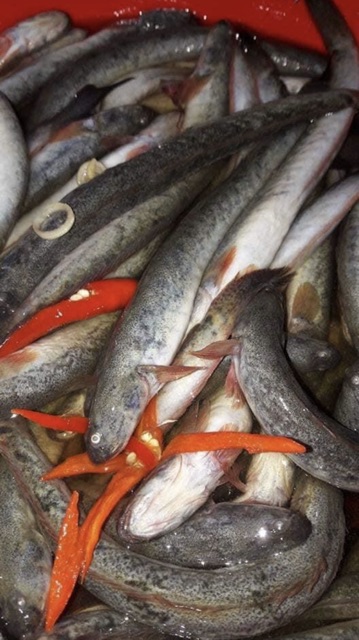 Khô Cá Kèo Cà Mau 500g | BigBuy360 - bigbuy360.vn