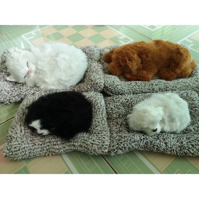 Mô hình cún con, mèo con đang ngủ