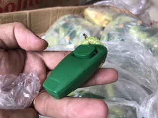 Clicker còi huấn luyện