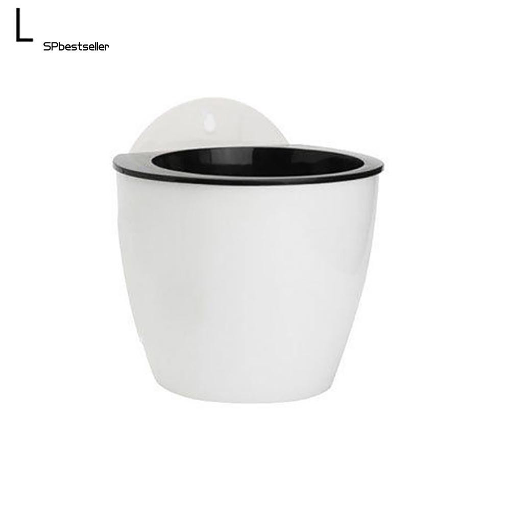 Chậu hoa thấm hút nước treo tường sáng tạo