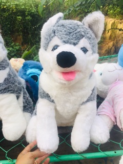 Gấu bông husky