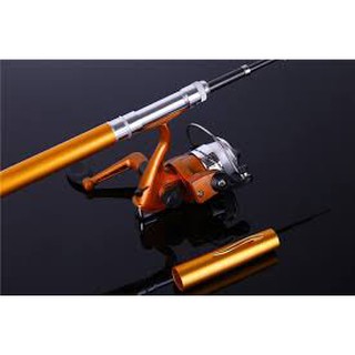 (Loại tốt) Cần câu bút mini.