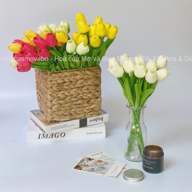 Hoa Lụa Tulip Lá Thẳng Nhiều Màu Merber (Mơ & Bơ) BôngTulip Giả Cao Cấp Decor Trang Trí Trong Nhà, Phòng Khách, Để Bàn