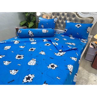 Drap thun Hàn quốc ( 7 màu)