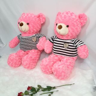 Gấu teddy loại to