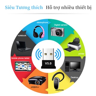Máy Thu Bluetooth USB 5.0 Thu Bluetooth Truyền Bluetooth Máy Phát & Máy Thu Bộ Thu Phát Bluetooth