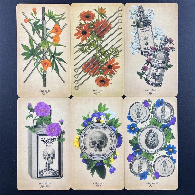 The Antique Anatomy Tarot Card Game