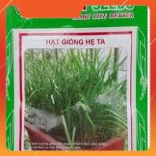 HẠT GIỐNG HẸ TA GÓI 10G