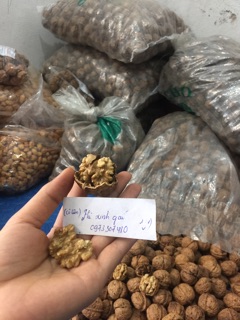 Quả óc chó rừng