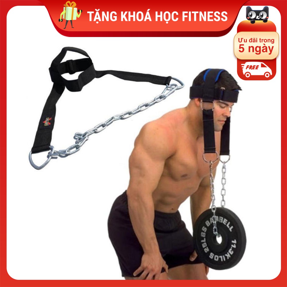 [Mã FAMAYMA giảm 10K đơn từ 50K] Đai Xích Treo Tạ Tập Cơ Cổ Head Harness